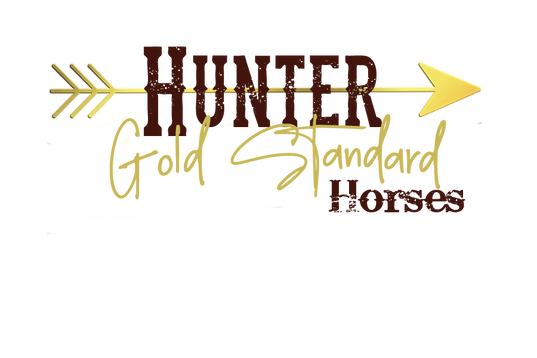 Hunter Gold Standard Horses